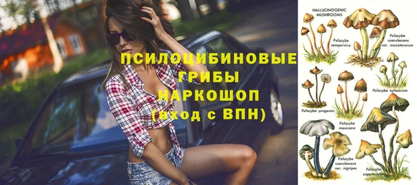 ALPHA PVP Богородск