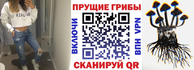 Псилоцибиновые грибы GOLDEN TEACHER  OMG ONION  Горнозаводск 
